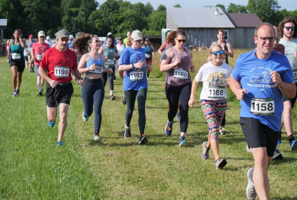 Race Review:  Shepherds Corner 5k